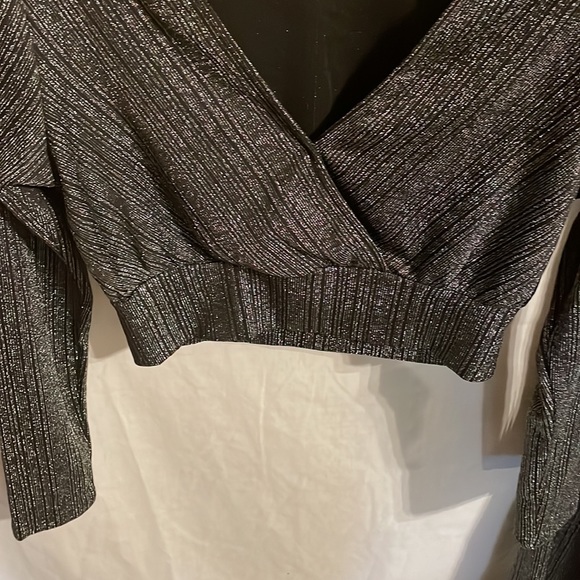 Paperoc Women’s Gray Silver Thread Dress Pants Midrift Blouse Size Large - Picture 6 of 16